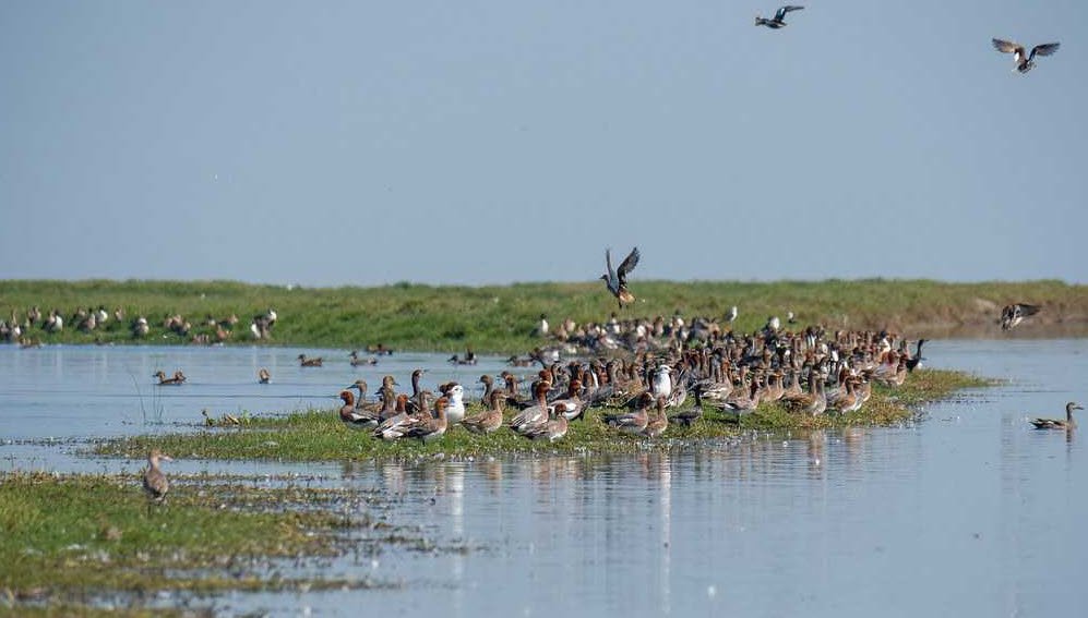 Nalbana Bird Sanctuary